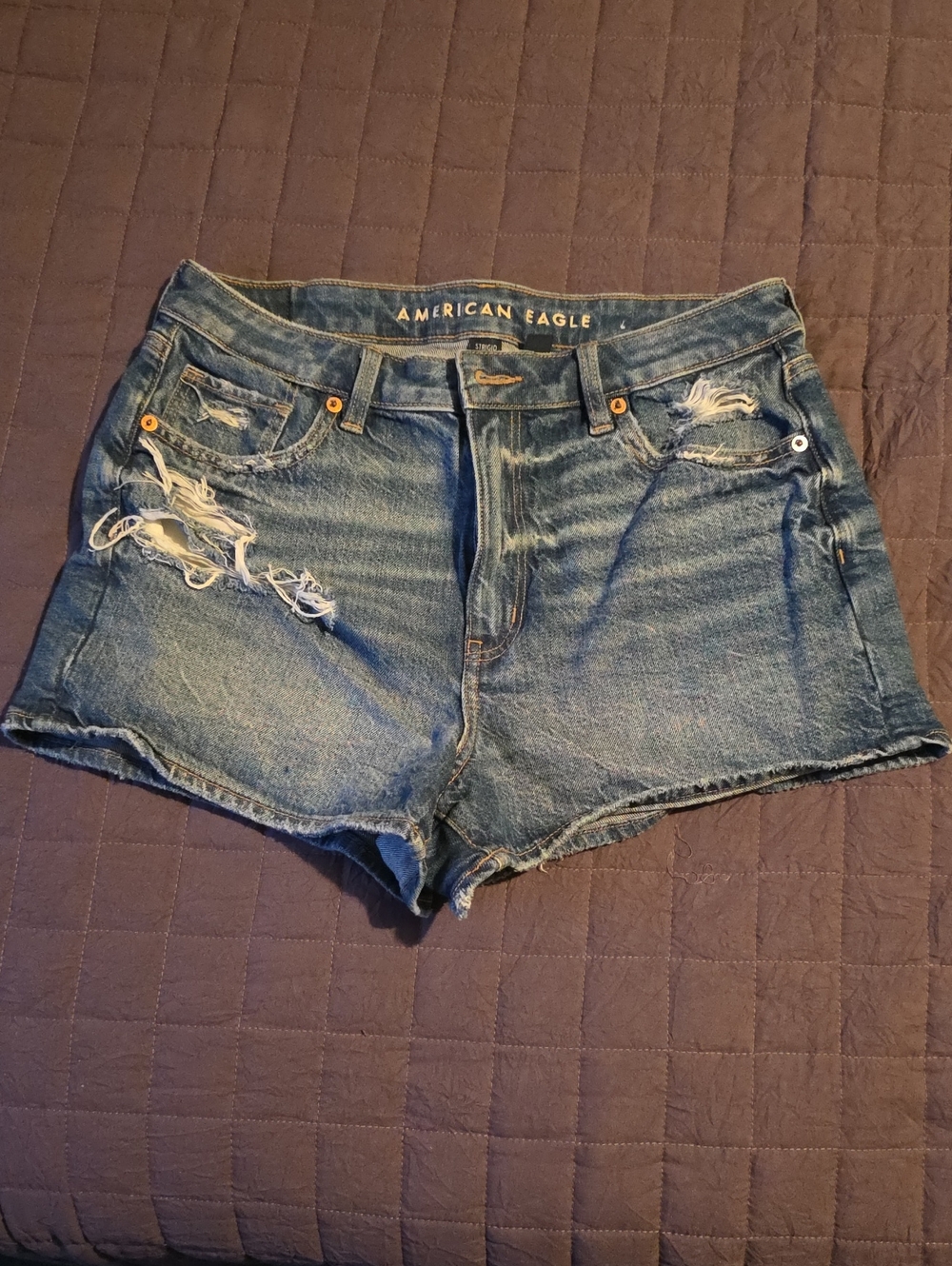 American Eagle Outfitters Mom Short Distressed Denim Shorts - Blue Wash